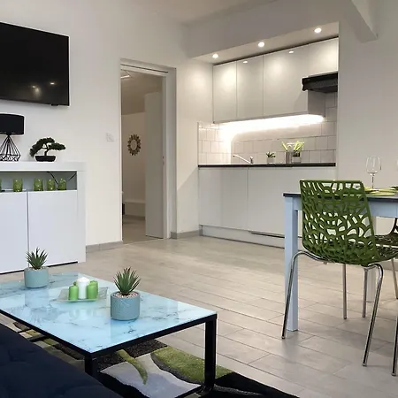 Appartement Altea 85 M2 Climatise Parking Proche Sanctuaires Lourdes Exterior photo